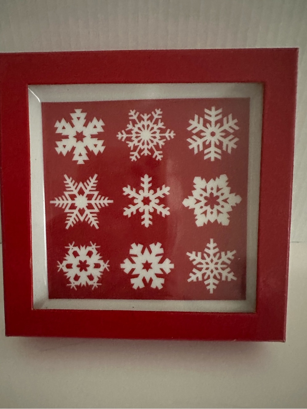 Crate & Barrel Holiday Snowflake Plates